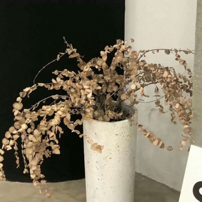 鱼峰福瑞交流群